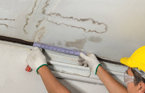 Reliable Water Damage contractor in Crump, TN by Water Damage Irwin